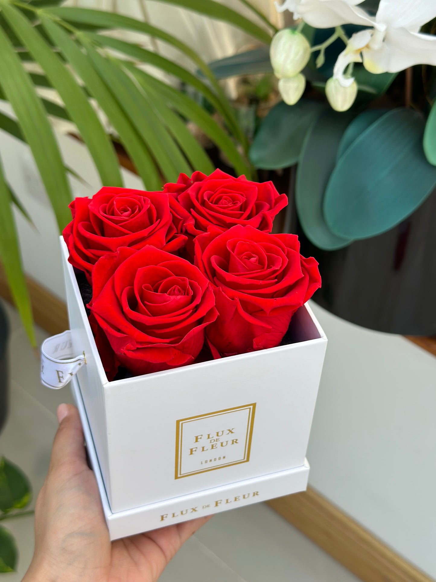 Infinity De Small - Red Roses In A Box