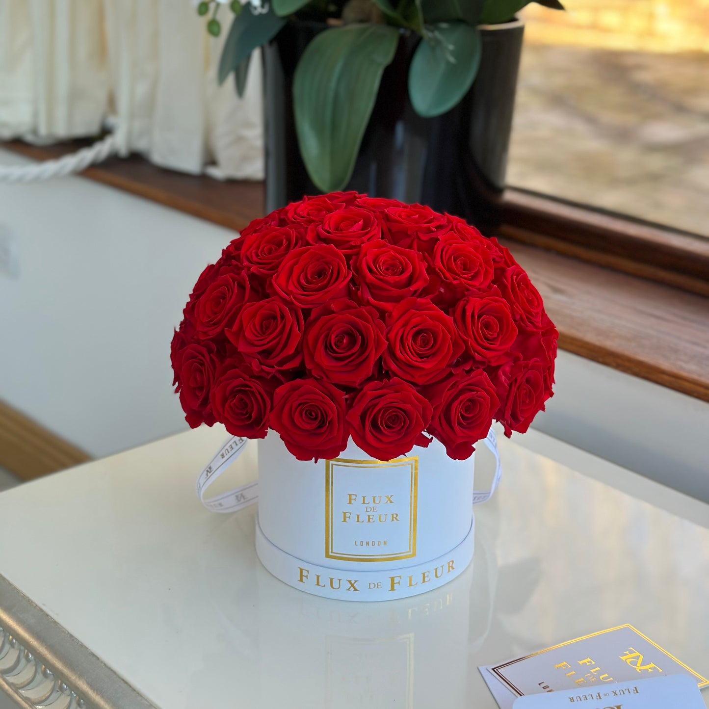 Eternity Roses Dome