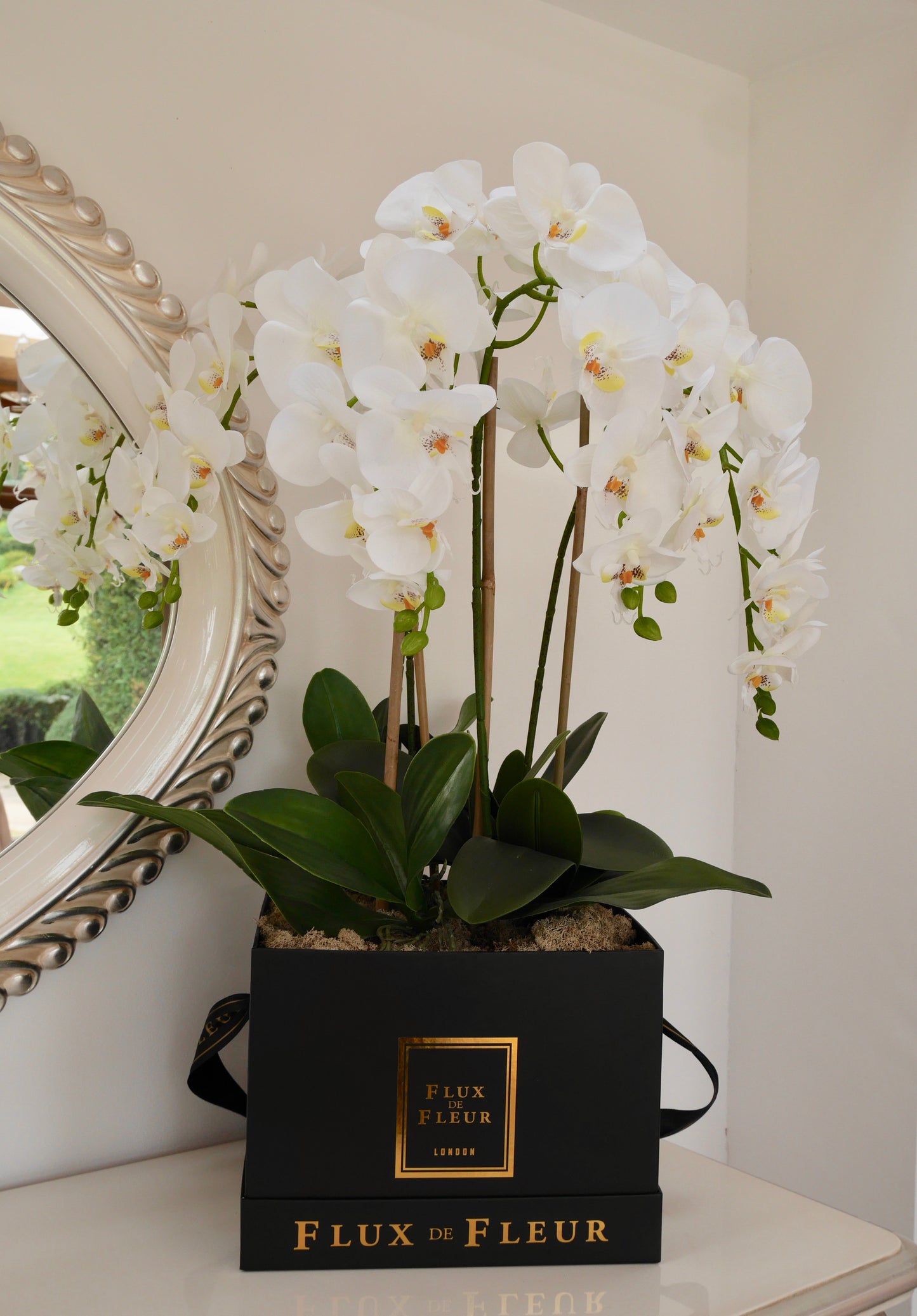 Forever Orchid™ - FLUX DE FLEUR