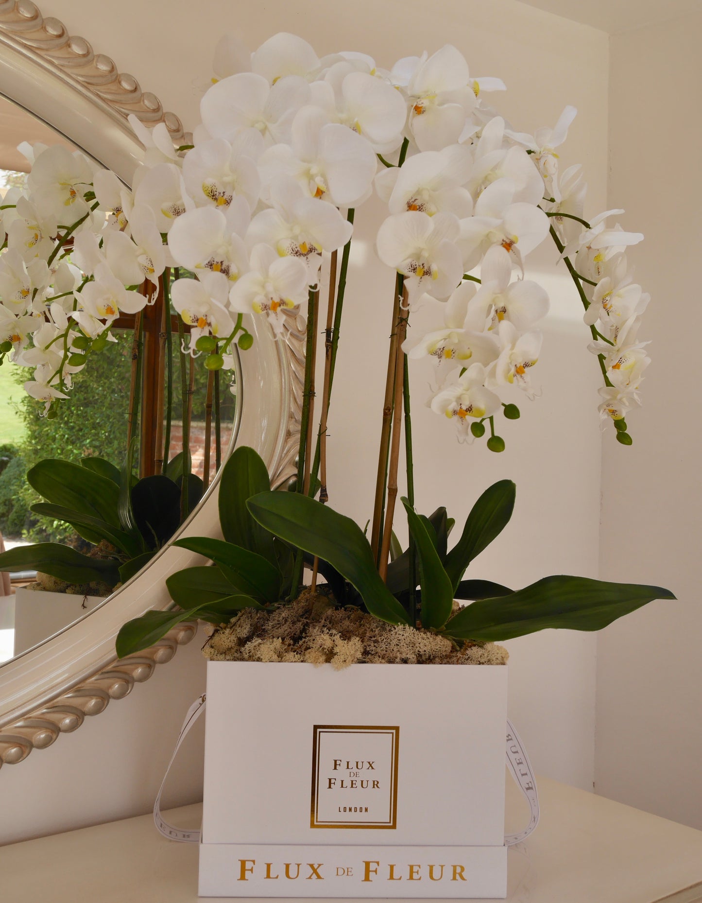 Forever Orchid™ - FLUX DE FLEUR