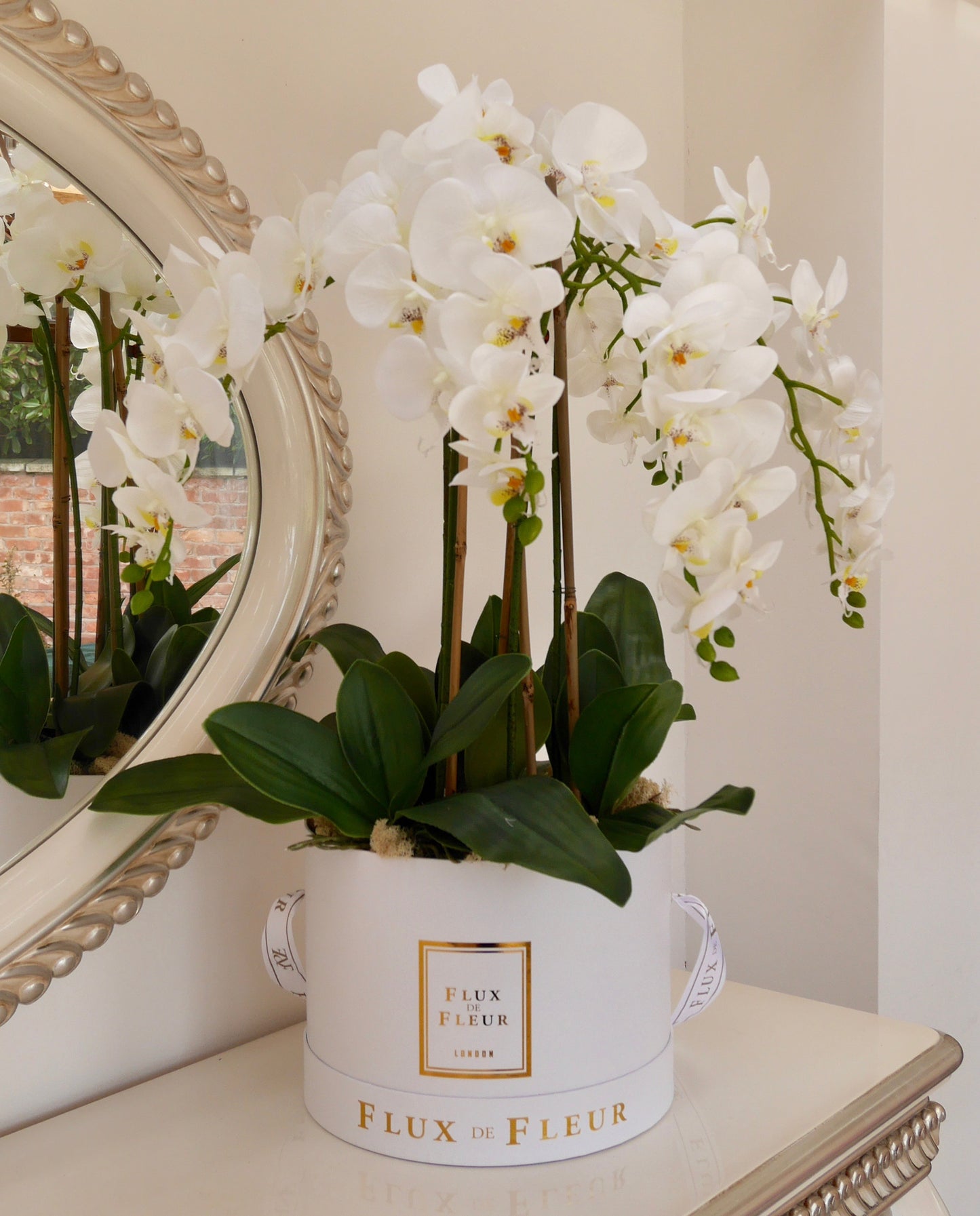 Forever Orchid™ - FLUX DE FLEUR
