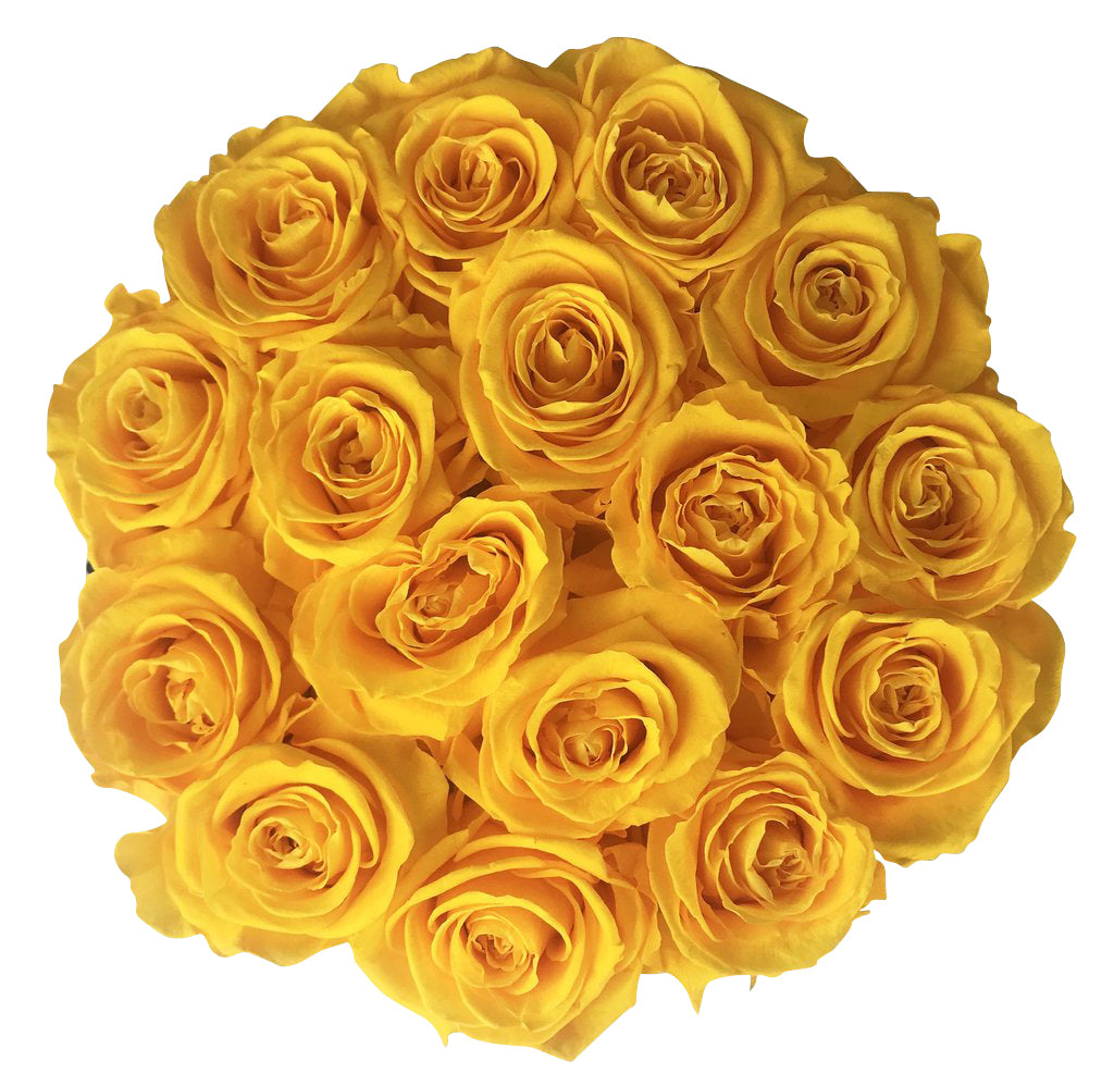 Infinity De Fleur Round