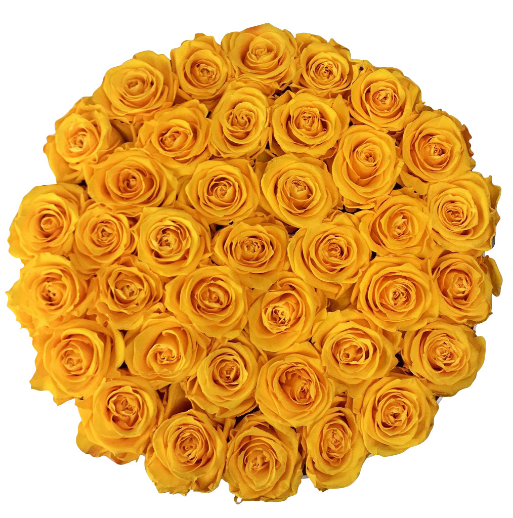 Infinity De Fleur Round