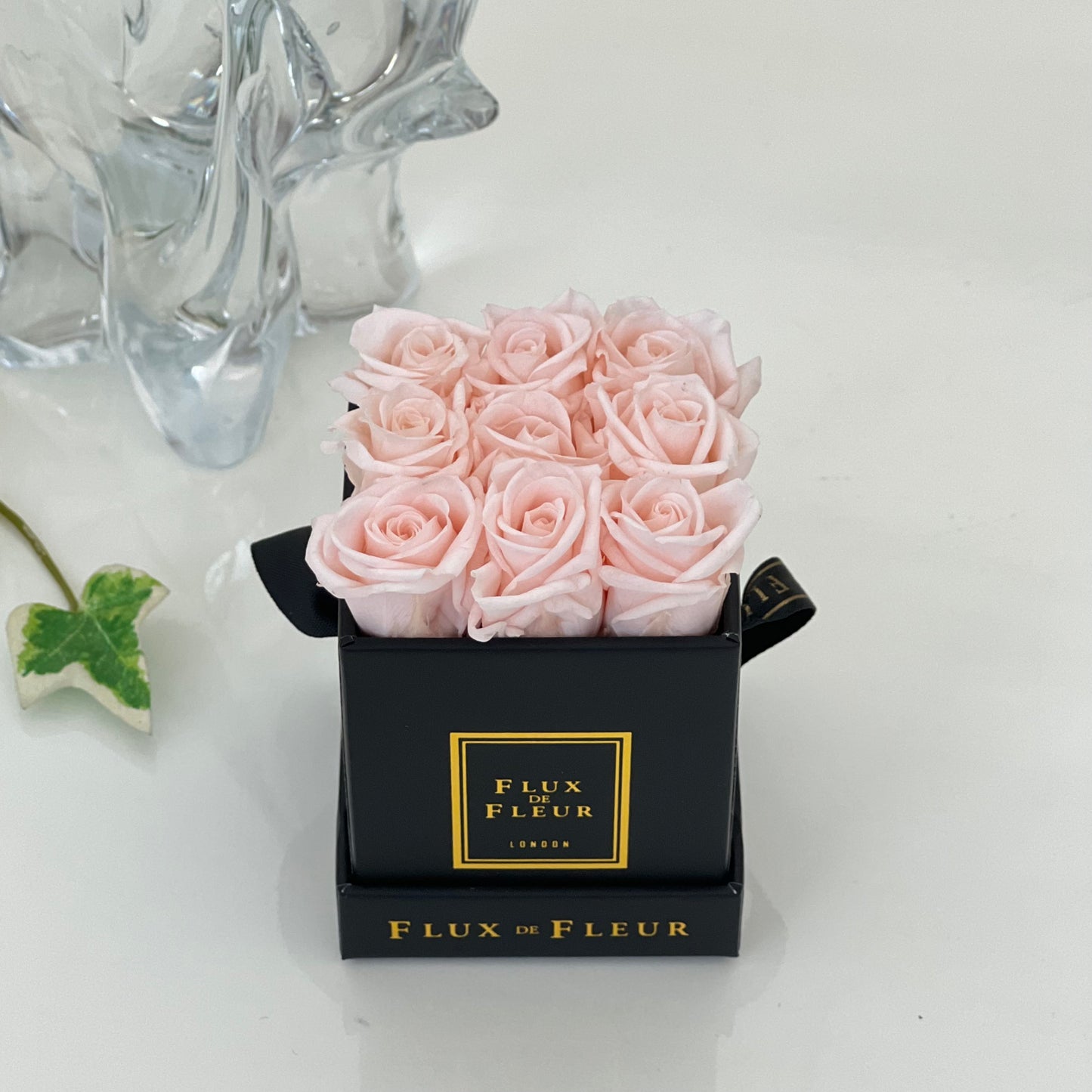 Infinity De Miniature Roses - Square