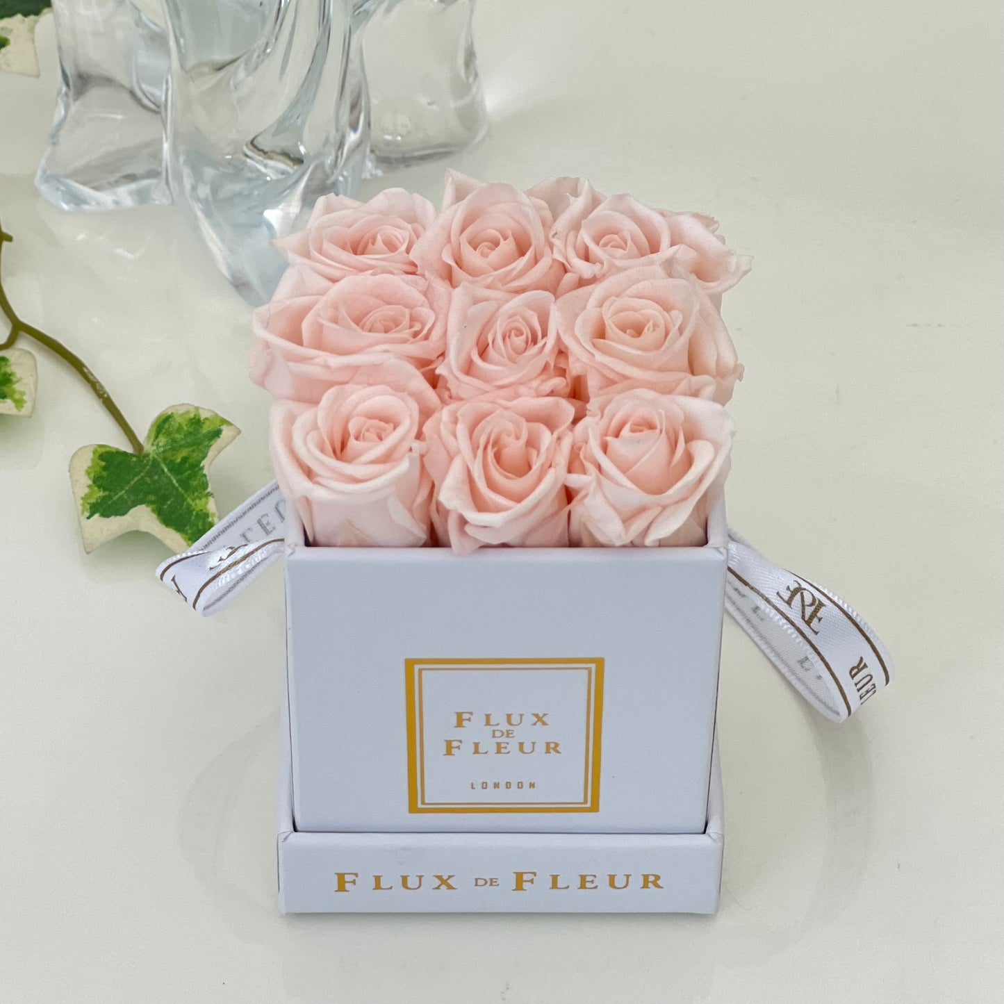 Infinity De Miniature Roses - Square