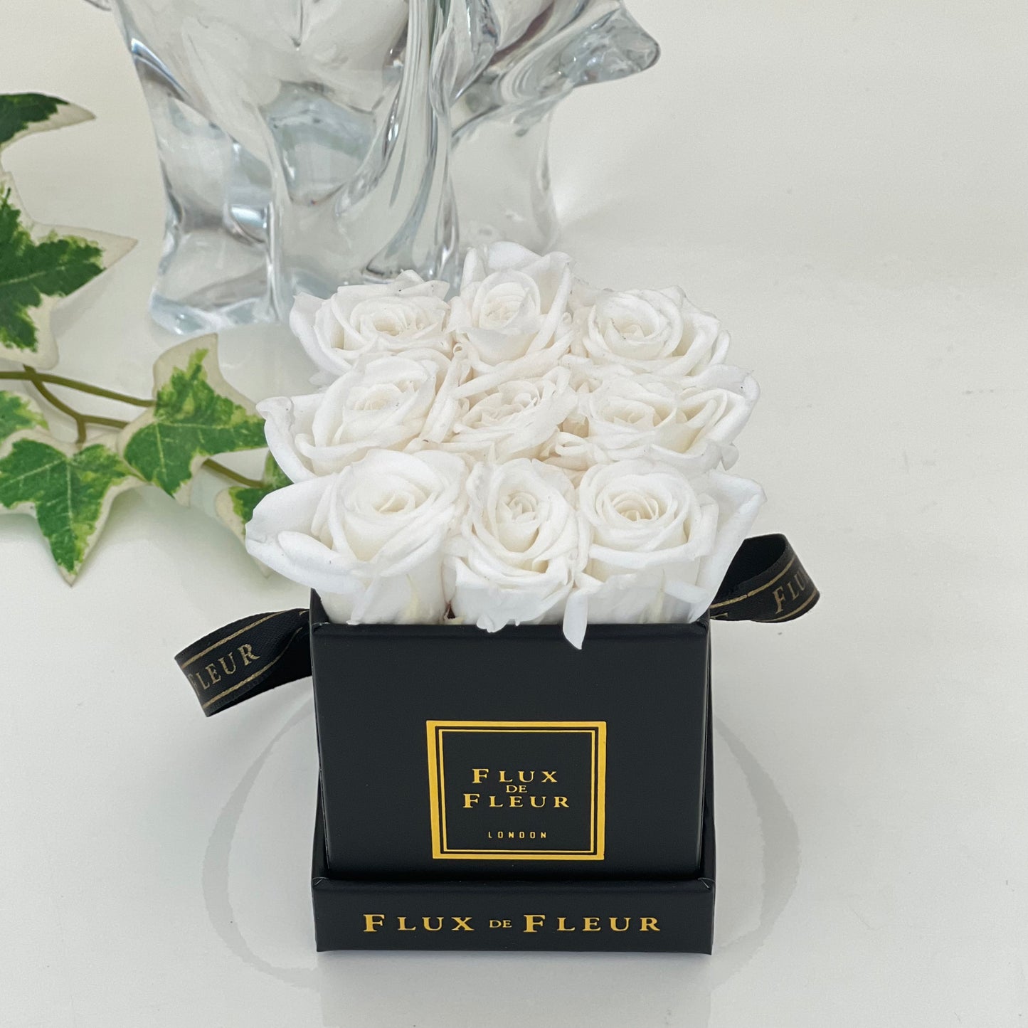 Infinity De Miniature Roses - Square