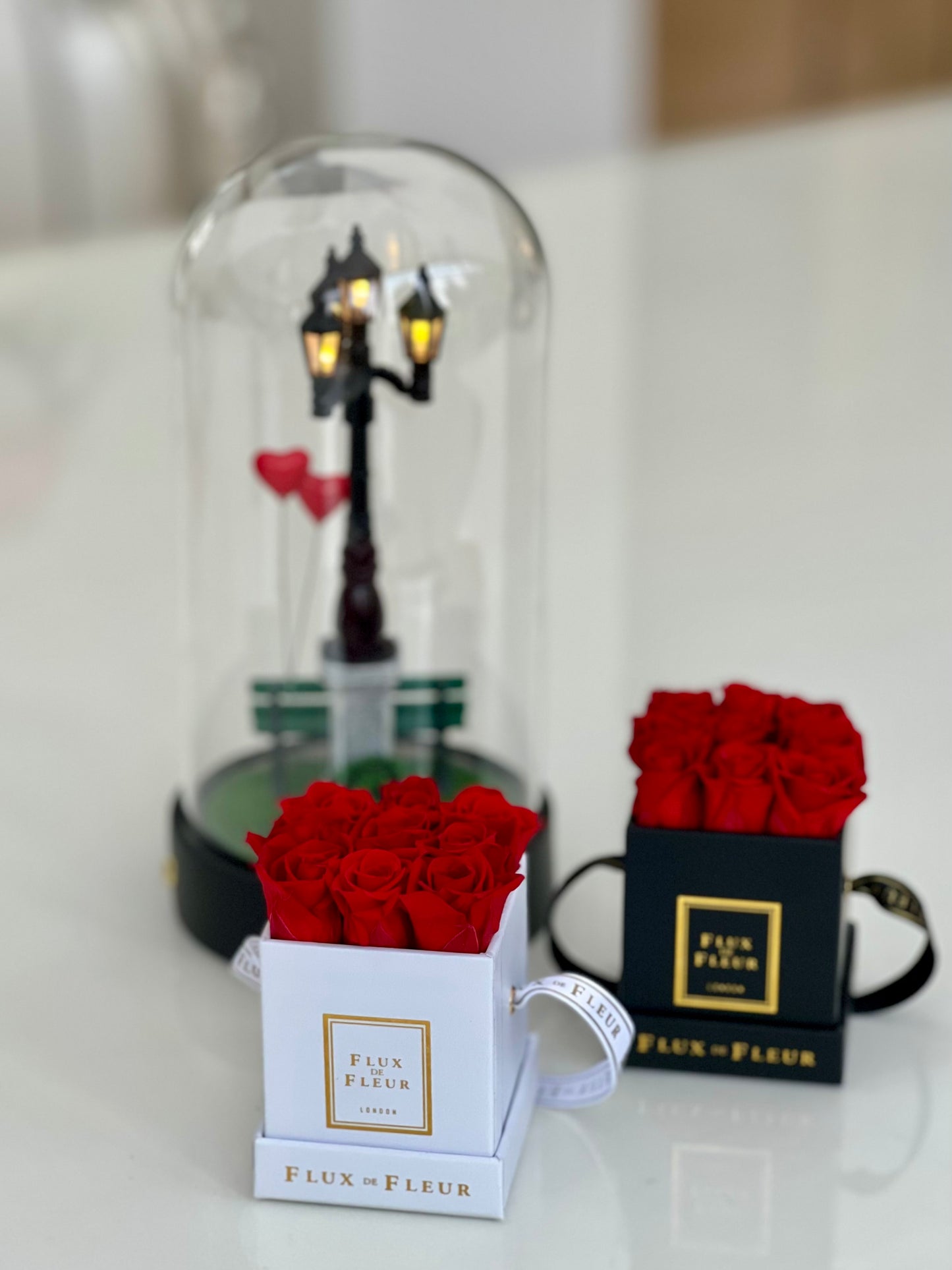 Infinity De Miniature Roses - Square