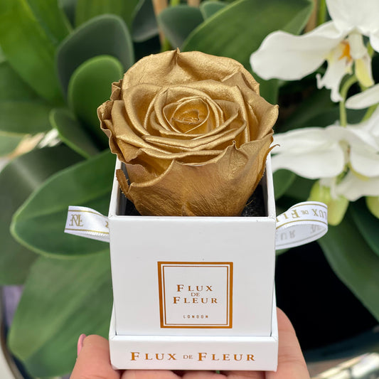 Infinity De Fleur - Mini Square