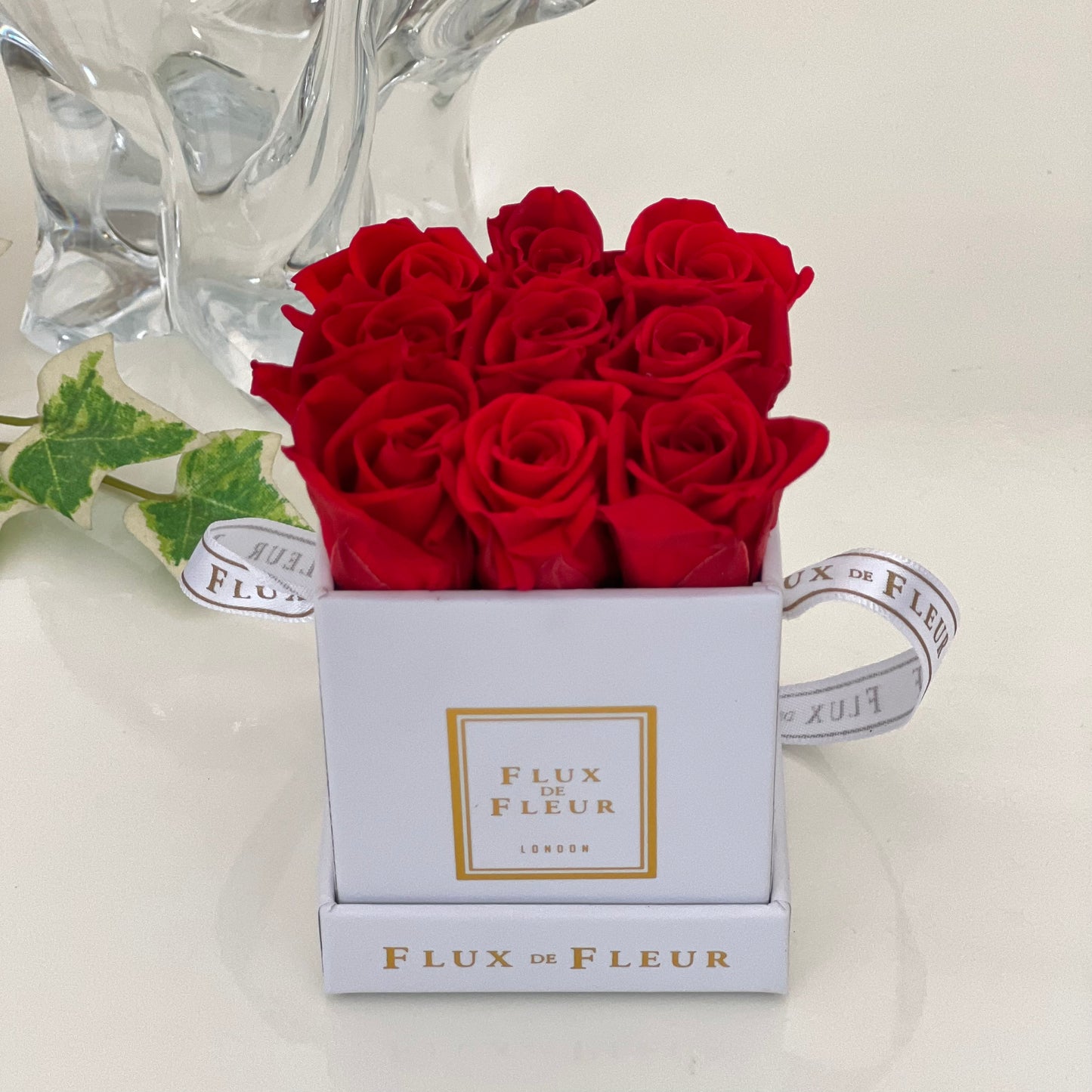 Infinity De Miniature Roses - Square