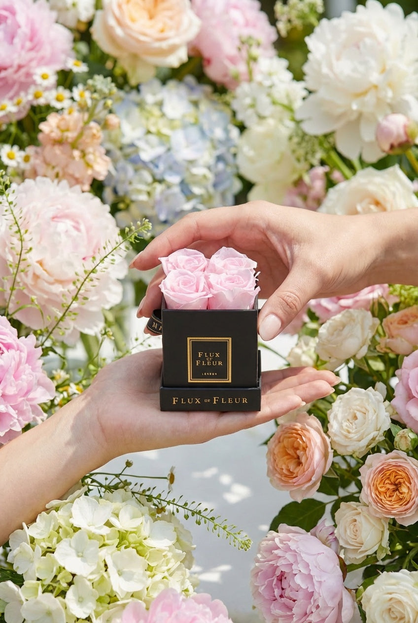 Collections – FLUX DE FLEUR