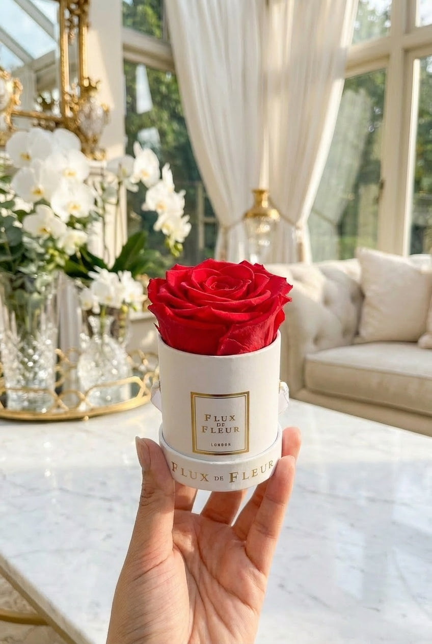 Infinity De Mini Round