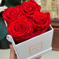 Infinity De Small - Red Roses In A Box