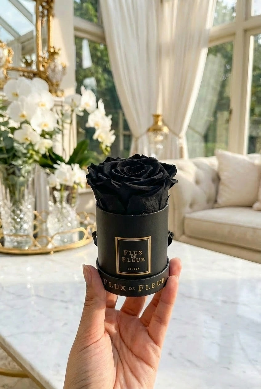 Infinity De Mini Round