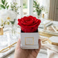 Infinity De Fleur - Mini Square