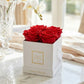 Infinity De Small - Red Roses In A Box