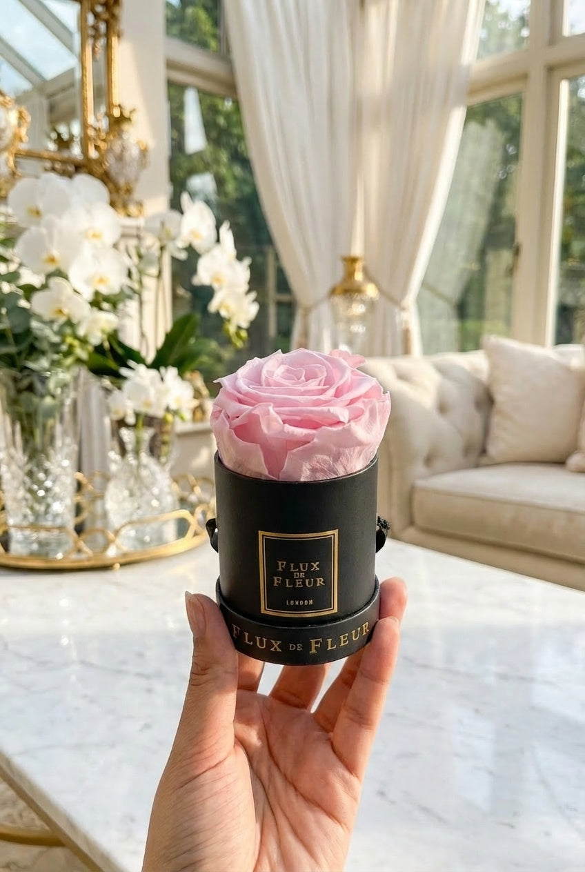 Infinity De Mini Round