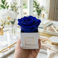 Infinity De Fleur - Mini Square