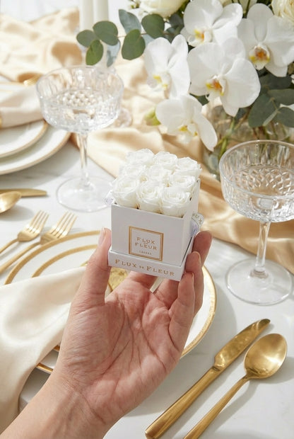 Infinity De Miniature Roses - Square