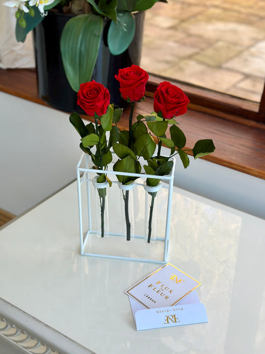 Trois La Rose