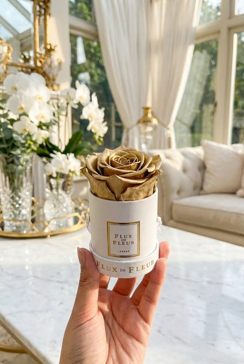 Infinity De Mini Round