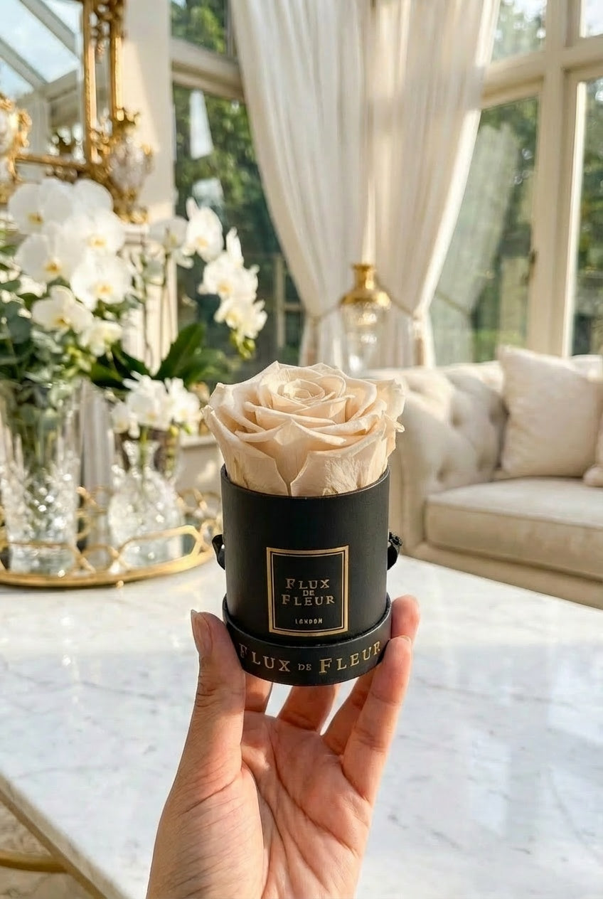 Infinity De Mini Round