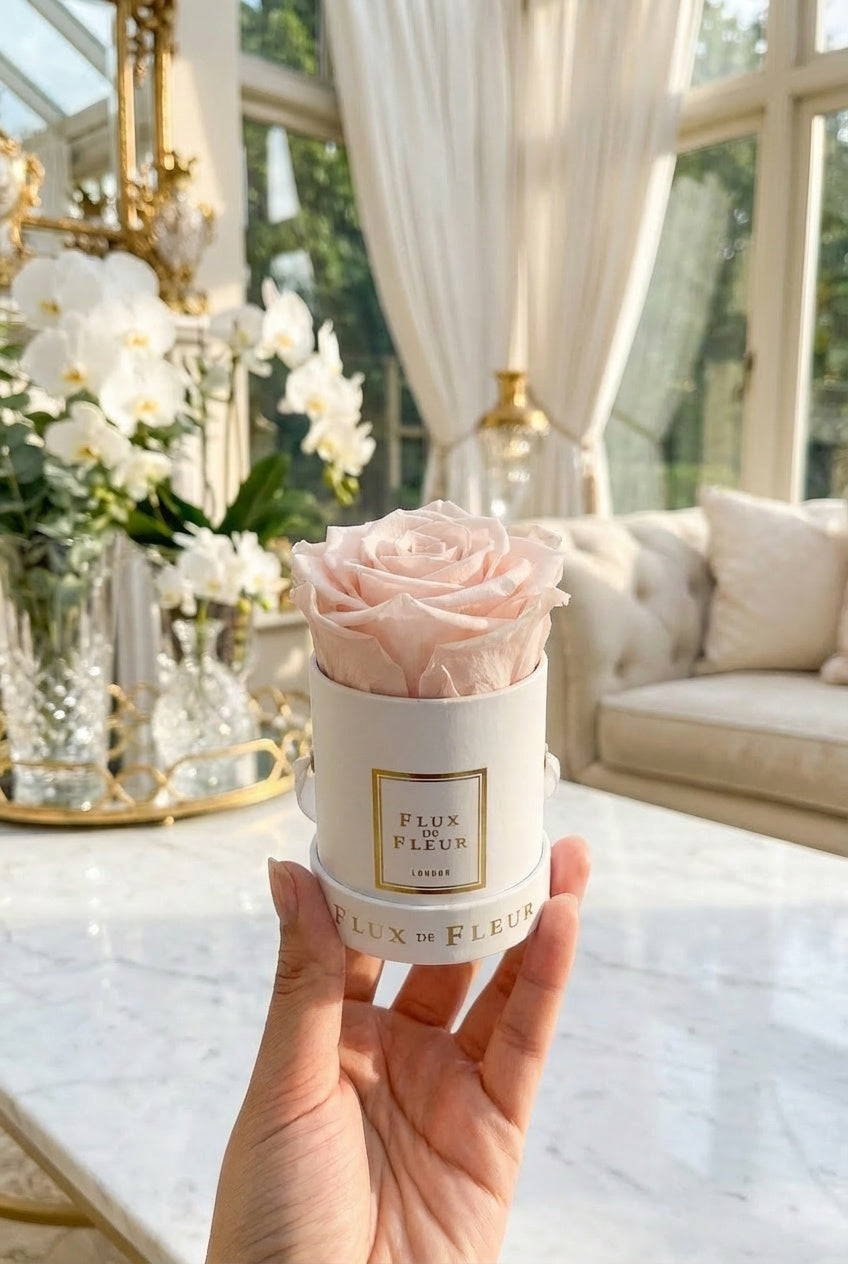 Infinity De Mini Round