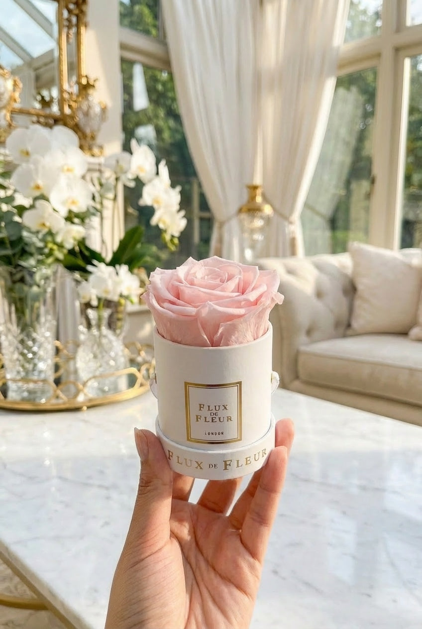 Infinity De Mini Round