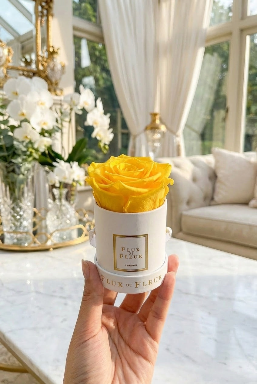 Infinity De Mini Round