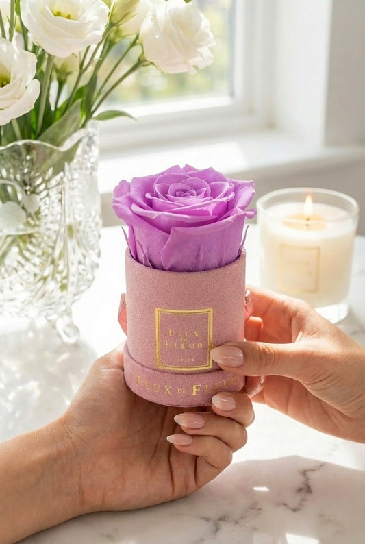 Suede Infinity De Mini