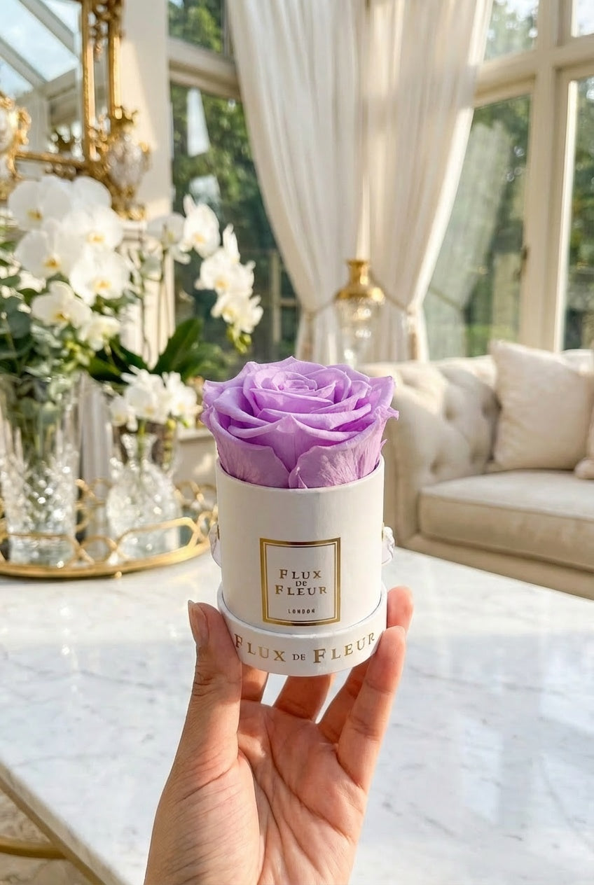 Infinity De Mini Round