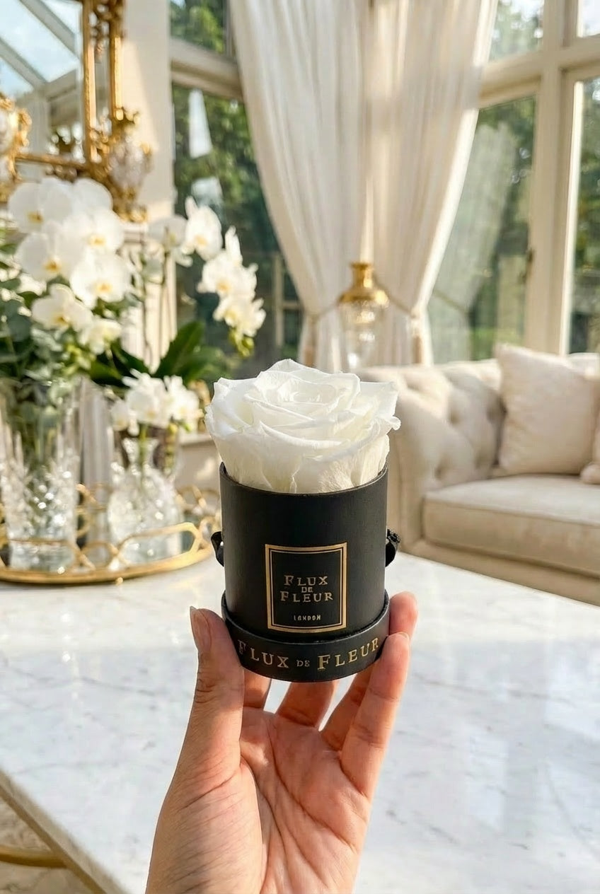 Infinity De Mini Round