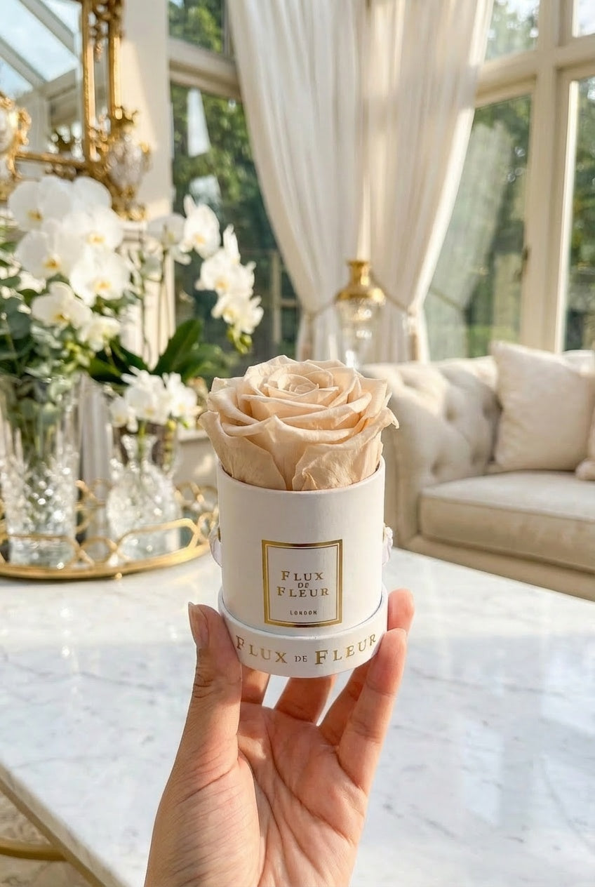 Infinity De Mini Round