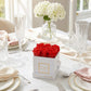 Infinity De Miniature Roses - Square