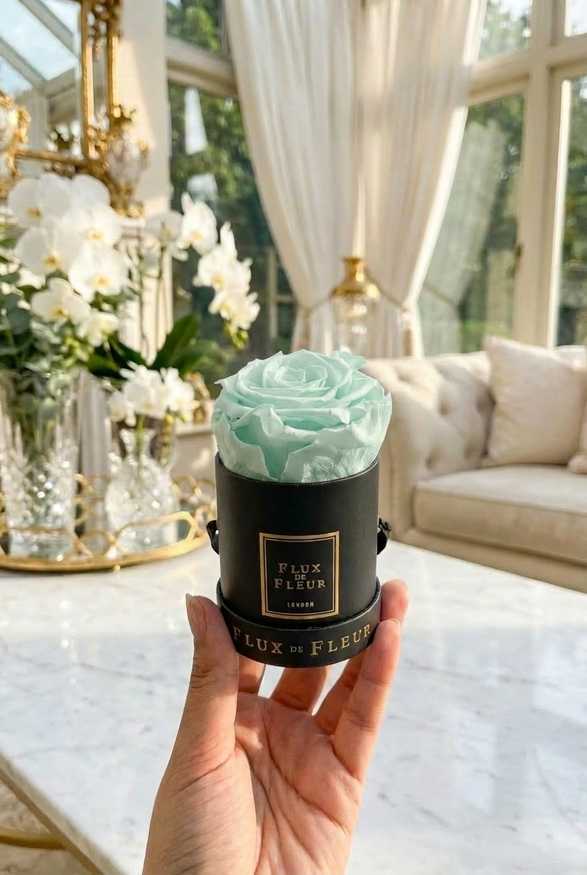 Infinity De Mini Round