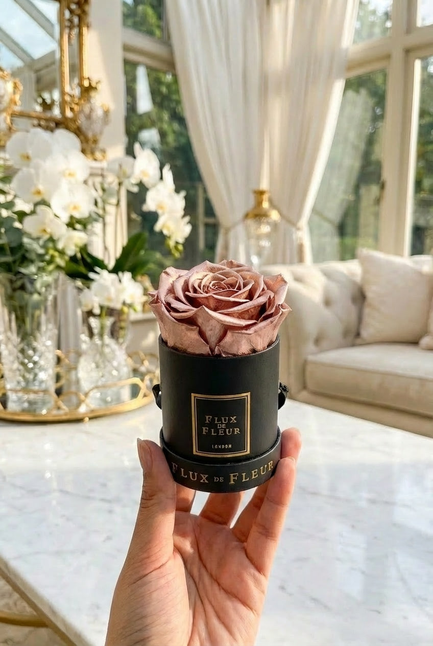 Infinity De Mini Round