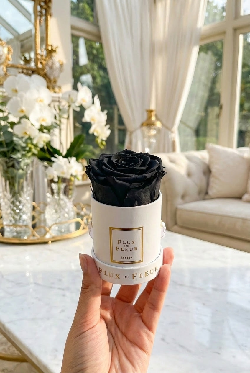 Infinity De Mini Round