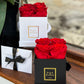 Infinity De Small - Red Roses In A Box