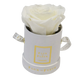 Infinity De Mini ™ - Lasts One Year