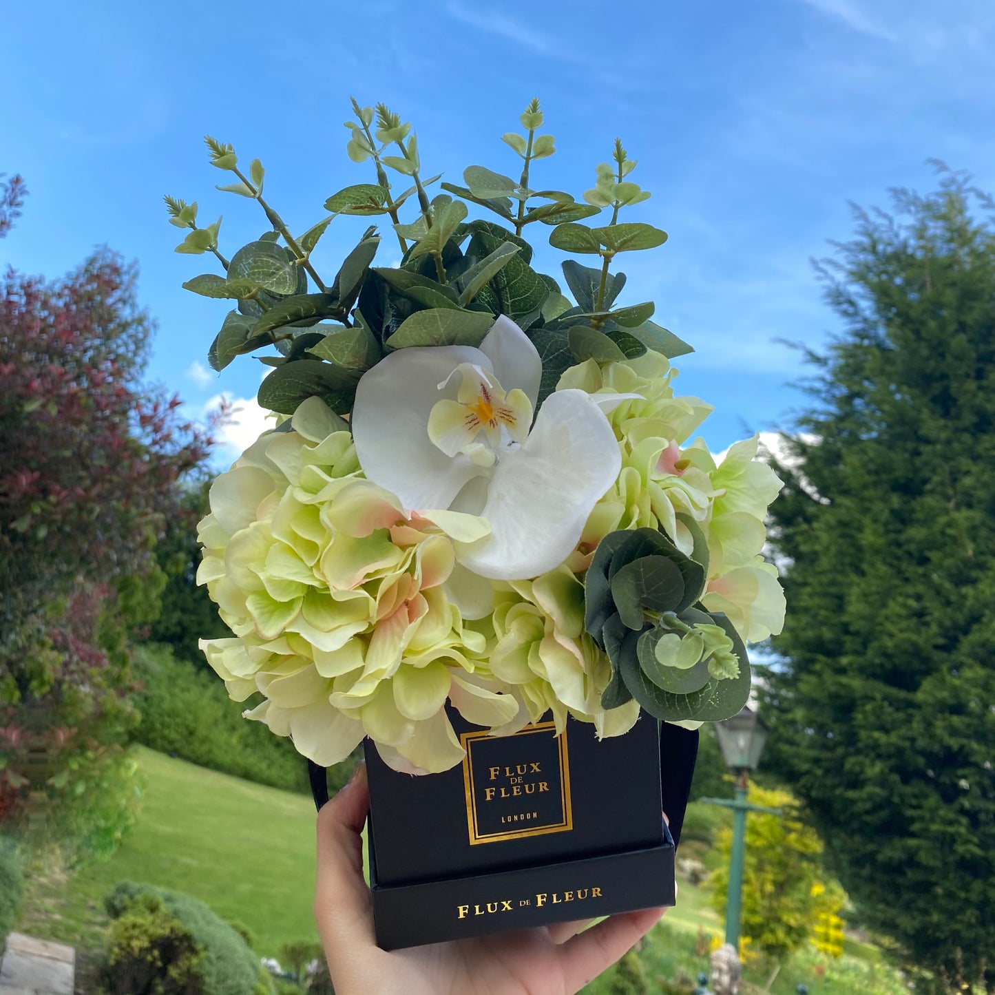 Eternity - Phalaenopsis Orchid, Green Hydrangeas & Eucalyptus