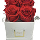 Infinity De Small - Red Roses In A Box