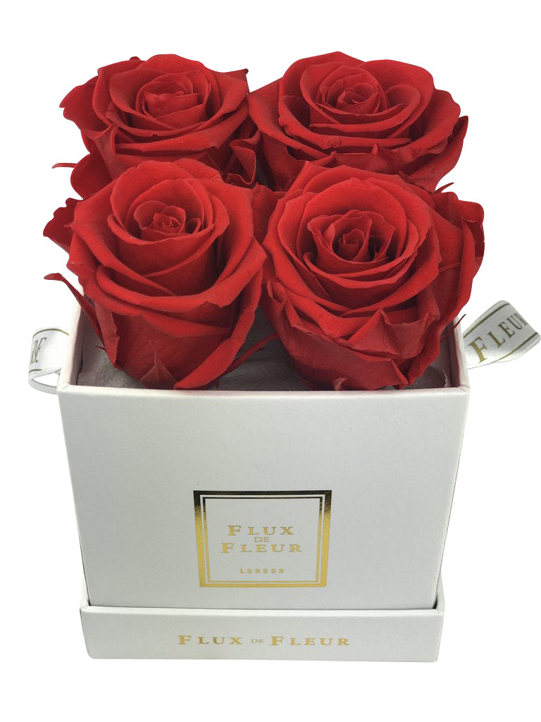 Infinity De Small - Red Roses In A Box