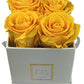 Infinity De Small Square - Roses In A Box