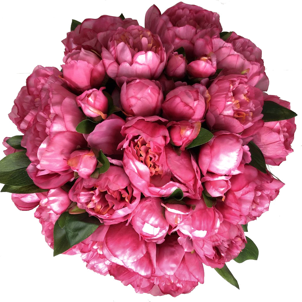 Forever Peonies