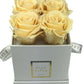 Infinity De Small Square - Roses In A Box