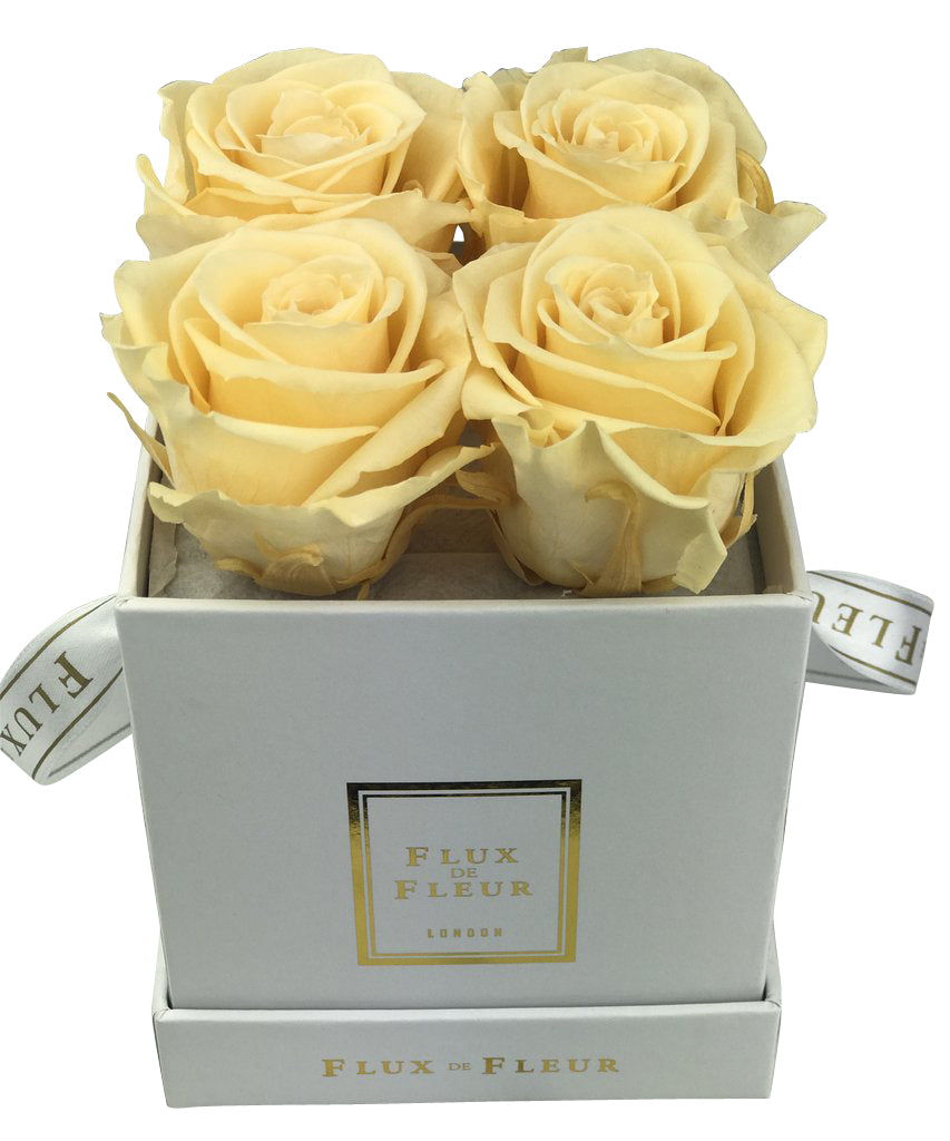 Infinity De Small Square - Roses In A Box