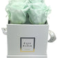 Infinity De Small Square - Roses In A Box