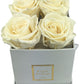 Infinity De Small Square - Roses In A Box