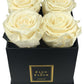 Infinity De Small Square - Roses In A Box