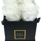 Infinity De Small Square - Roses In A Box