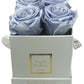 Infinity De Small Square - Roses In A Box